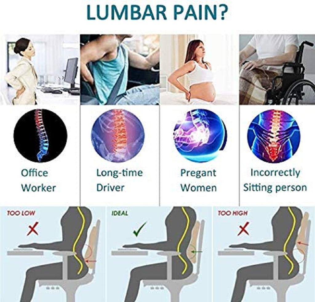 Lumbar Support Cushion for Car Seat, Black with White Piping, Adjustable Straps, Ergonomic Back Support